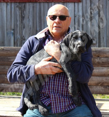 Новые владельцы